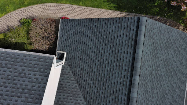 Best Asphalt Shingles Roofing  in Samsula Spruce Creek, FL