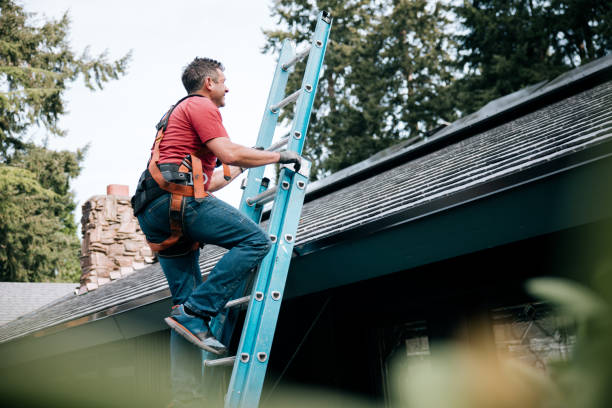 Best Metal Roofing Installation  in Samsula Spruce Creek, FL