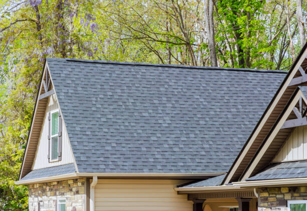 Best Asphalt Shingle Roofing  in Samsula Spruce Creek, FL